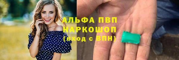 шишки Белоозёрский
