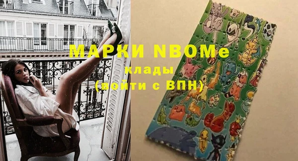 шишки Белоозёрский