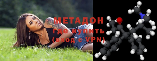 шишки Белоозёрский