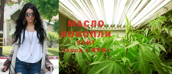 шишки Белоозёрский
