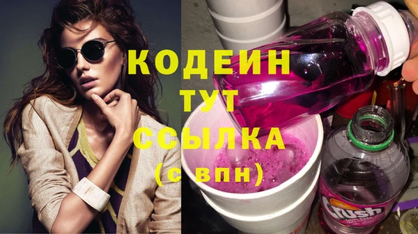 шишки Белоозёрский