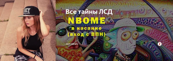 шишки Белоозёрский