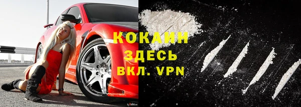 шишки Белоозёрский