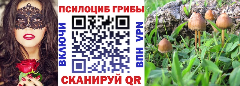 цена   Краснознаменск  Псилоцибиновые грибы Cubensis 